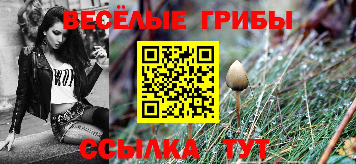 Псилоцибиновые грибы мухоморы Мурино