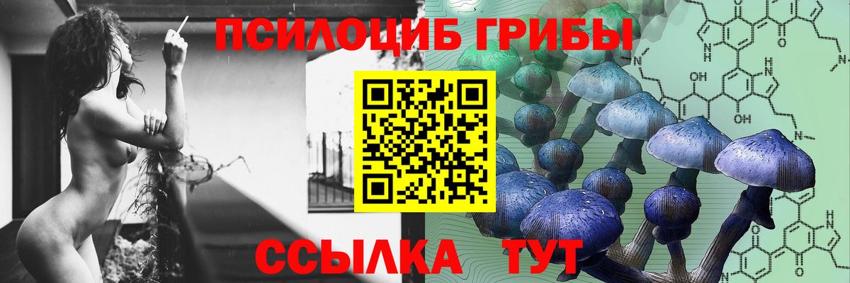 Мурино  Псилоцибиновые грибы Magic Shrooms  Псилоцибиновые грибы ЛСД  Вход с VPN 